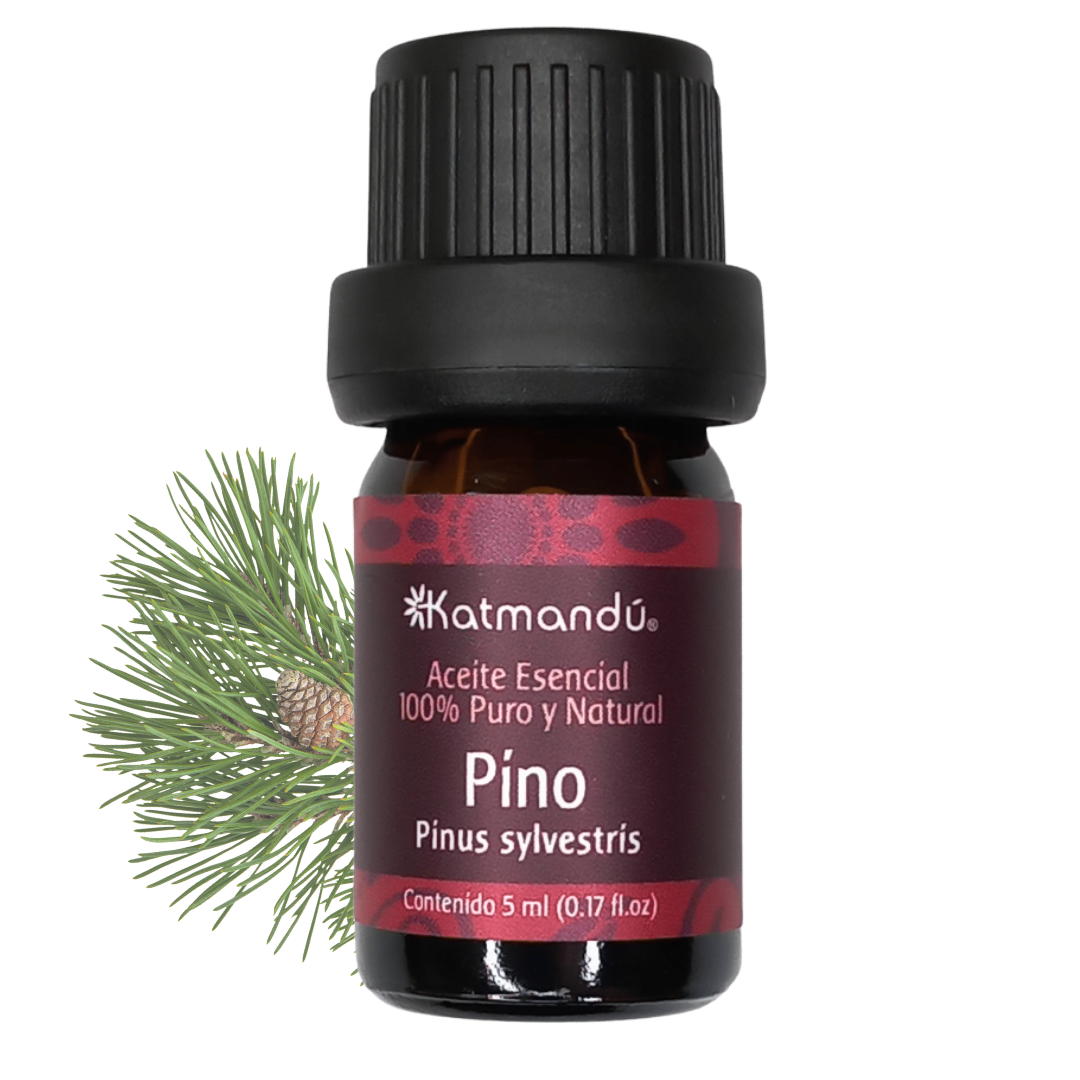 Aceite esencial Pino - 5ml
