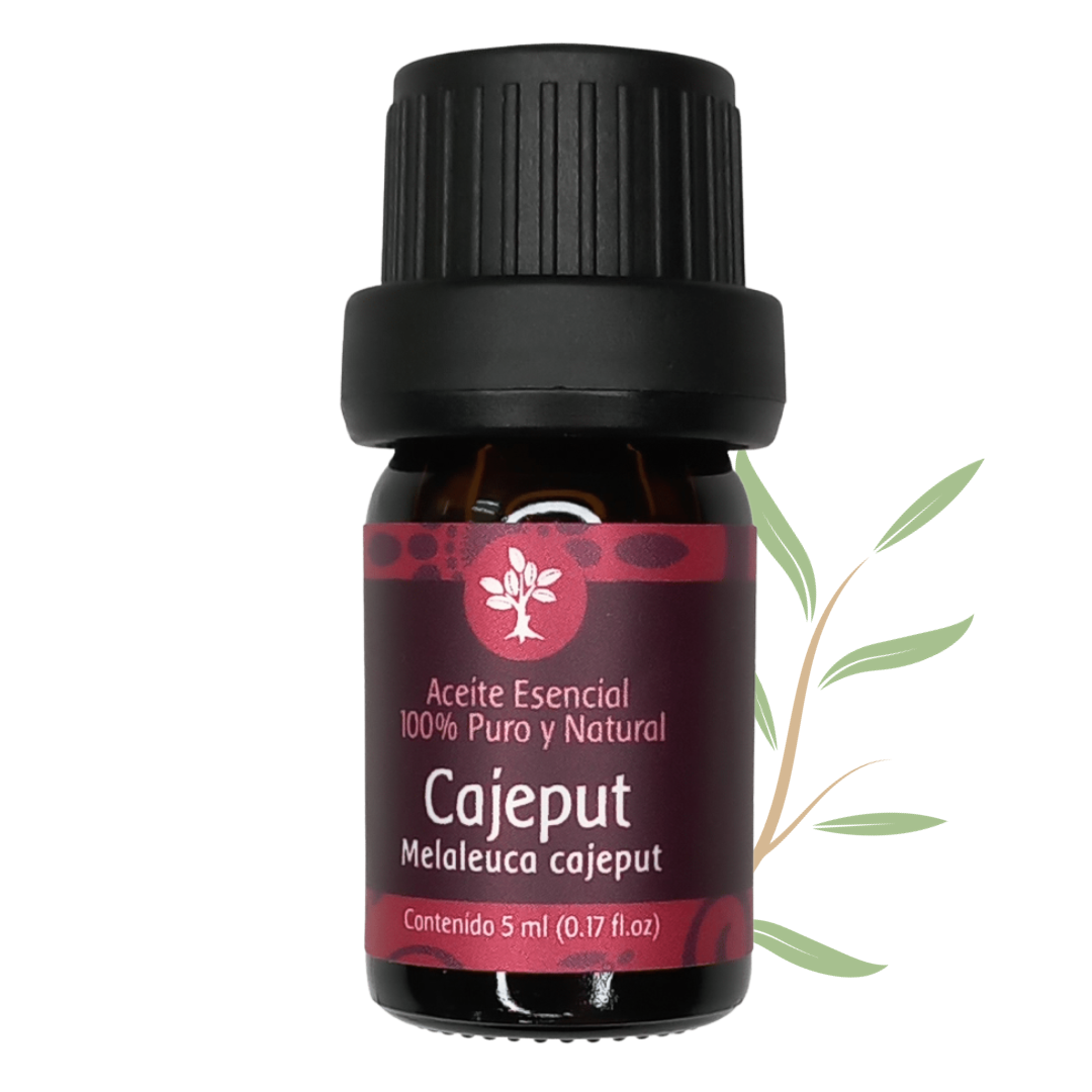 Aceite esencial Cajeput - 5 ml