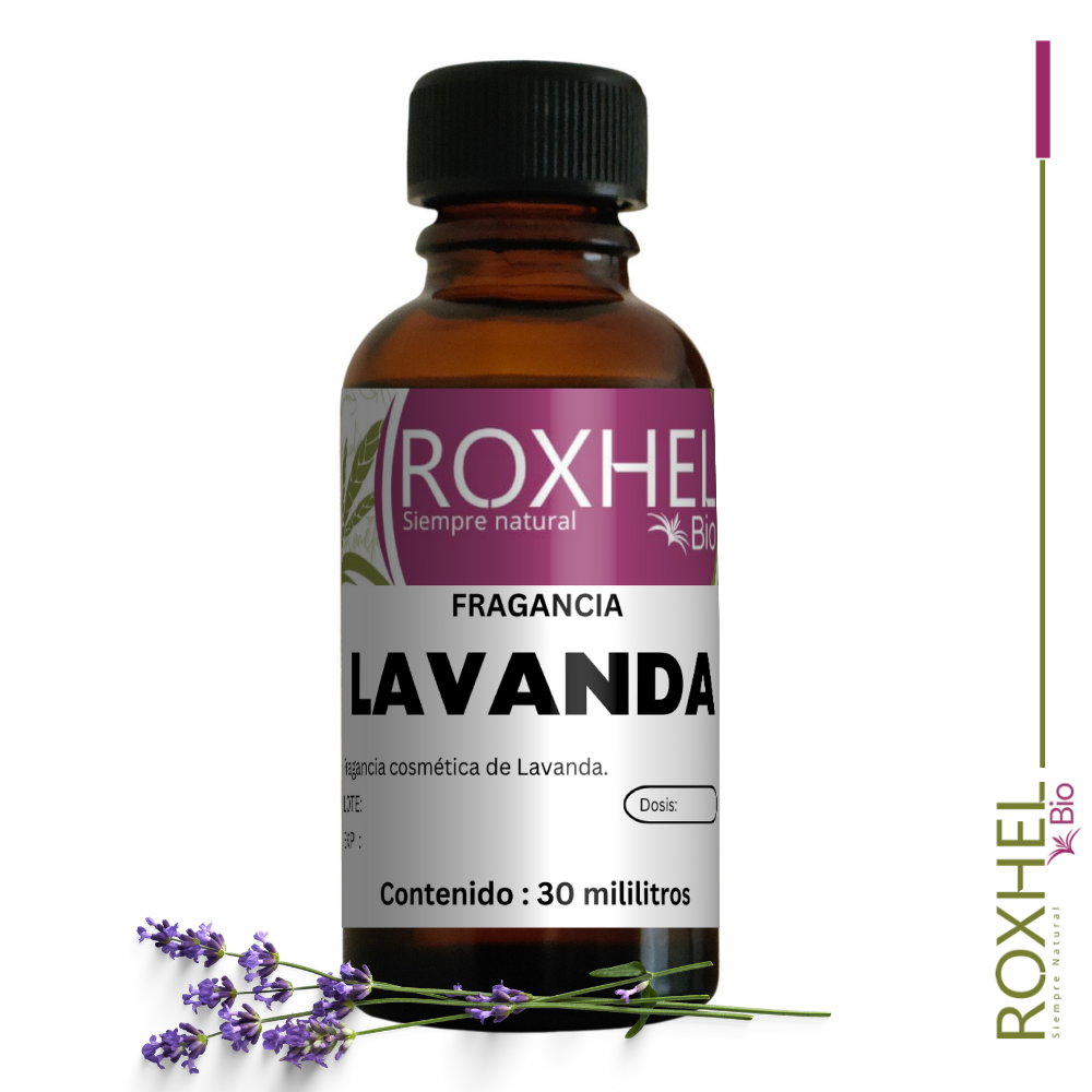 Fragancia Lavanda